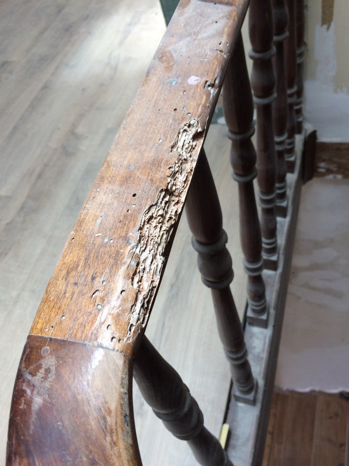 Insect damage, stair railings,